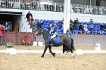 SBM_010168