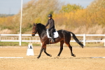SBM_000868