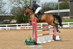 Wessex Arena Friday 31st March portfolio