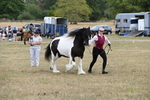 WJ6_5356