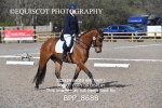 BPP_8688