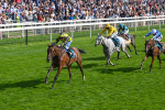 220825-Race 5-Cape Flora-7670
