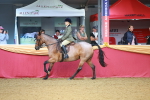 SBM_09529