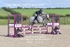 BPP_1933