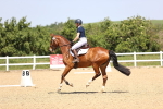 SBM_009024