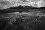 Murlough (07066890)