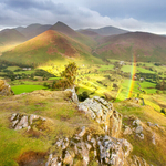 Newlands Rainbow