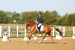 SBM_010515