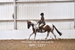 BPP_1277