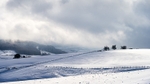 Winter in Wildboarclough (3)