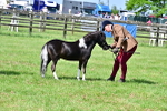 SBM_03674