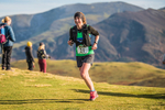 Sale Fell-403