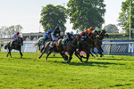 180524-Race 6-Diamondonthehill-Yorkshire-9798