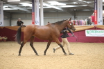 SBM_05666