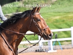 BPP_1866