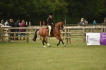 SBM_10697