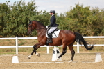 SBM_007459