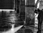 CLEAN UP - VENICE