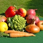 Harvest table 2