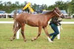 DSC04699