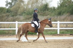 SBM_004323