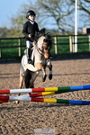 SAT Cls 19 Clear Round 50cm portfolio