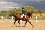 SBM_007472