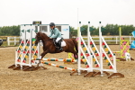 SBM_000653