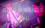 The Erawigs-29