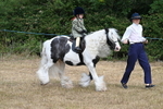 WJ7_6462
