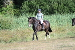 WJ7_3267