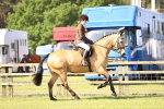 SBM_12514