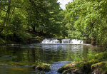 River Usk tumbling its way to Brecon