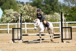 SBM_007670