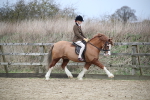 SBM_006038