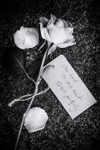 12/52 To One Heart