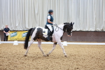 SBM_008981