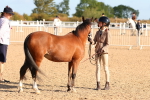 SBM_08662