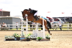 SBM_003915