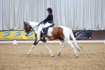 SBM_003551