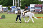 SBM_08208