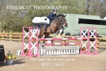 BPP_1643