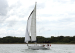 120715 ISLAND ALCHEMY WT7A5985