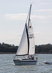 090816 AUDELLA K42T IMG_0495