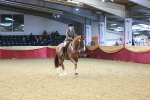 SBM_12708