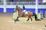 SBM_009623