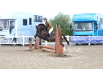 SBM_12198