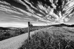 To Shutlingsloe or Trentabank