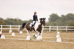 SBM_004610
