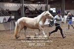 BPP_0823